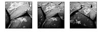 Baltic Sea-ice Triptych