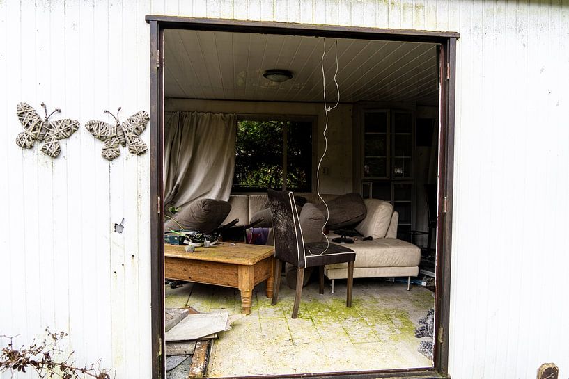 Butterfly living room by Diana Kors