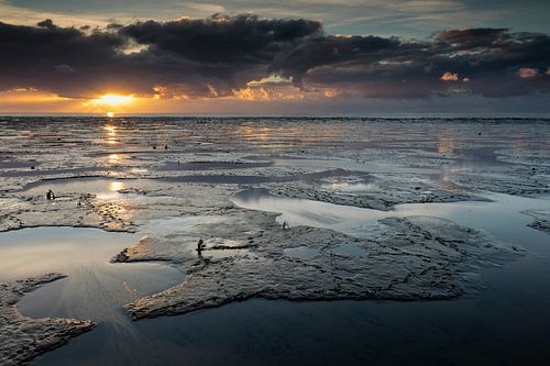 Waddenzee