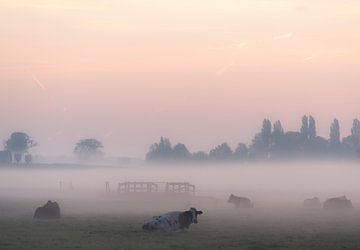 Morgennebel in der Landschaft von Marcel van Balken
