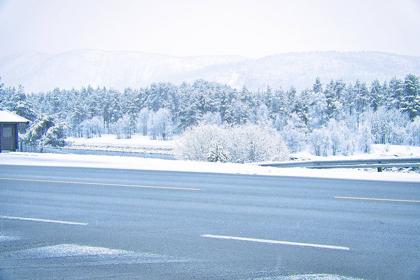 Road leading through the Norwegian high mountains by Martin Köbsch