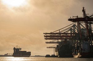 Containerschiffe auf dem Containerterminal im Hafen von Rotterd