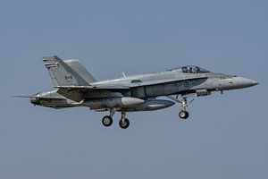McDonnell Douglas CF-18 Hornet.