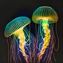 Two neon jellyfish by Digital Art Nederland thumbnail