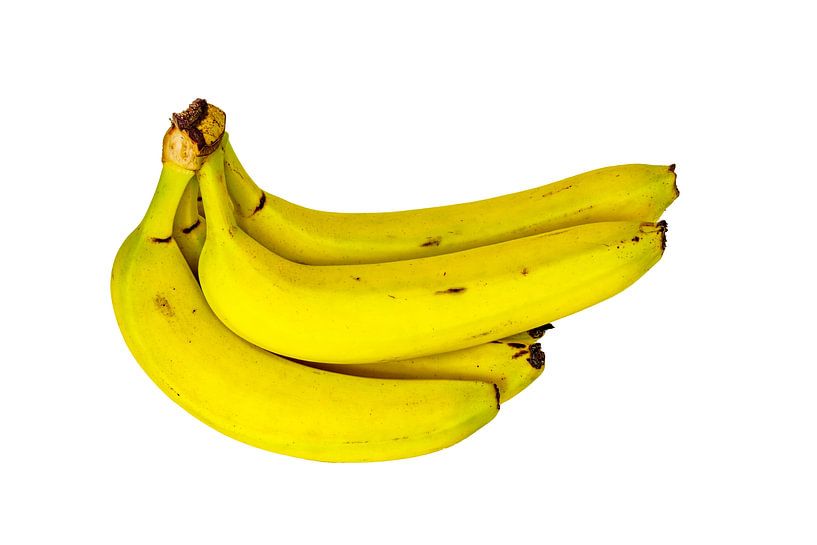 Alles Banane von Roland Brack