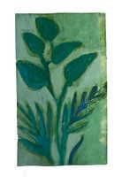 Palm leafs