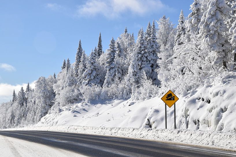 Eine Landstraße im Winter von Claude Laprise