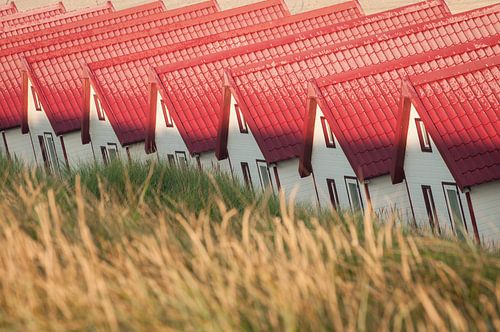 Beach cottages Domburg