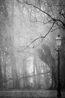 Fairytale