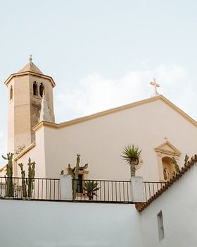 Architectuur en cactussen van Ibiza Town in Spanje