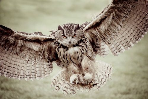 impressive flight...