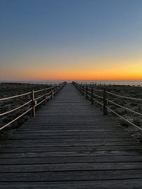 The Bridge by Elise Vos