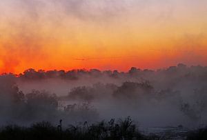 Sunrise with morning fog at a River in Africa van W. Woyke
