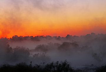 Morgennebel an einem Fluss in Afrika