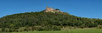 Burg Hohenzollern Panorama von Uwe Ulrich Grün Miniaturansicht