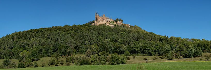 Burg Hohenzollern Panorama von Uwe Ulrich Grün