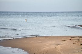 Op het zandstrand van de Oostzeekust van Martin Köbsch