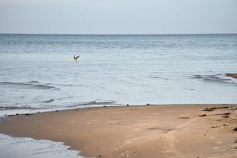 On the sandy beach of the Baltic Sea coast by Martin Köbsch