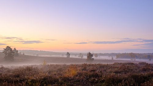 Morgennebel in Zonhoven