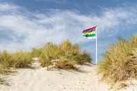 Duinen van Waddeneiland Terschelling met vlag #3