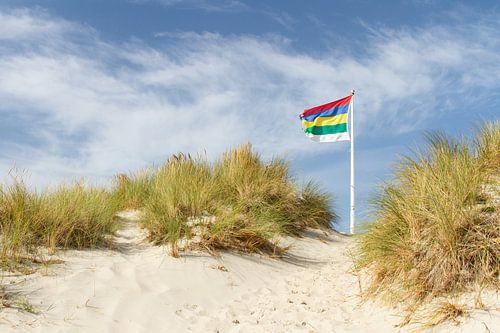 Dunes of Wadden Island Terschelling with flag #3