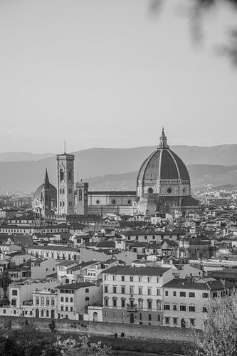Uitzicht over Florence en kathedraal