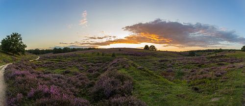 Panoramafoto van de zonsondergang op de Posbank
