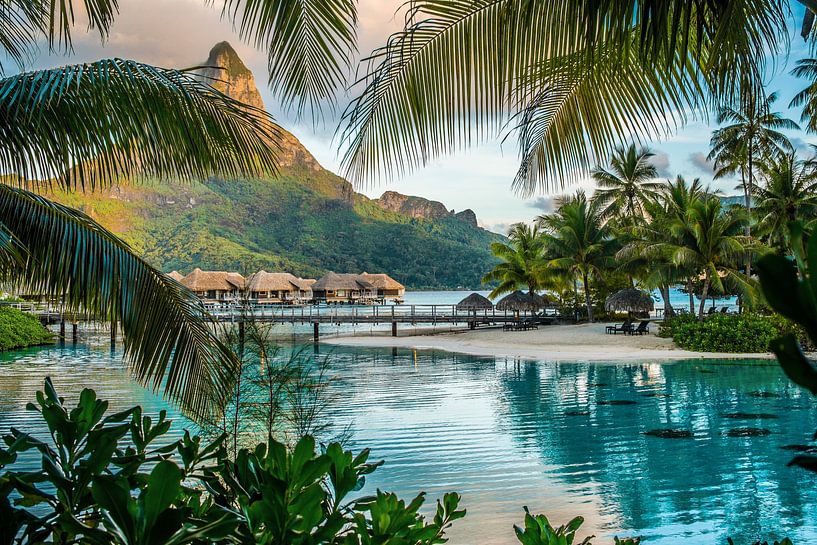 Lagoonarium Bora Bora van Ralf van de Veerdonk