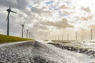 Windturbines on the shore of the IJsselmeer by Sjoerd van der Wal Photography thumbnail