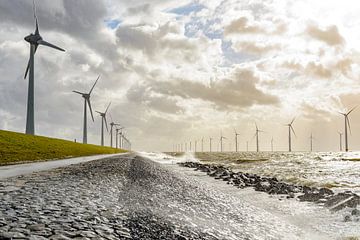 Windturbines on the shore of the IJsselmeer by Sjoerd van der Wal