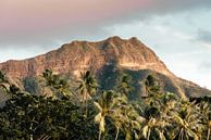 Diamond Head Sonnenuntergang von road to aloha Miniaturansicht