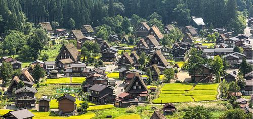 Dorp gelegen in Gifu Prefectuur