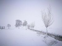 Winter in the parc 3 / Winter in het parc 3