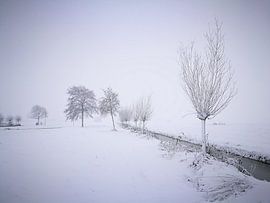 Winter in the parc 3 / Winter in het parc 3 van Malec Gebrek