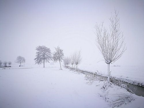 Winter in the parc 3 / Winter in het parc 3