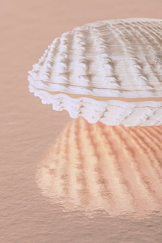Plages de sable rose de rêve : un coquillage dans un décor de vieux rose doux