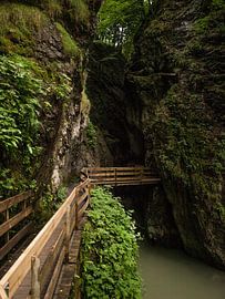 Alplochschlucht von Rinke Velds