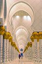 Sjeik Zayed-moskee von ferdy visser Miniaturansicht