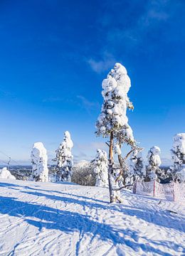 Paysage avec de la neige en hiver à Ruka, Finlande sur Rico Ködder