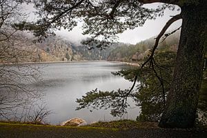 Lac Blanc /  Vogezen / Elzas van Rob Boon