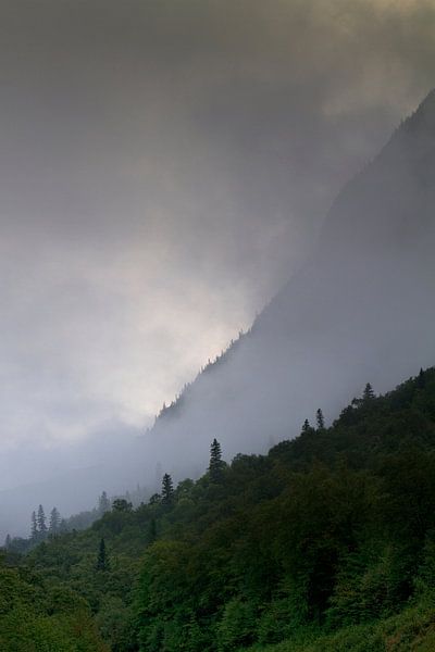 Flanc de Montagne  van Renald Bourque