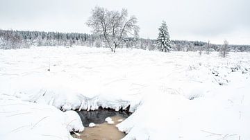 Winters Landschap van Hans Dikken