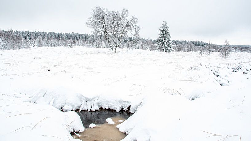 Winterlandschaft von Hans Dikken