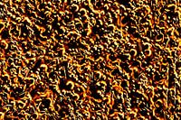 Glowing Sparkle Relief Abstract