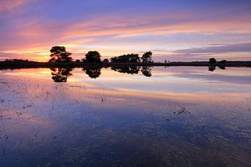 Strabrechtse Heide. sur Patrick Brouwers