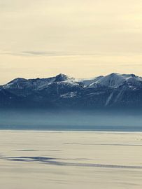 North Shore by Gemma Bardot