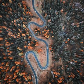 Driving the swirly roads of the Dolomites by Antoine van de Laar