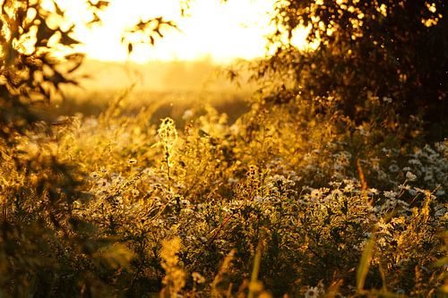 doorkijk waarbij je lekker wegdroomt