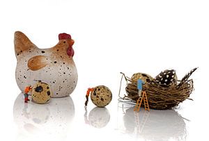 eier productie