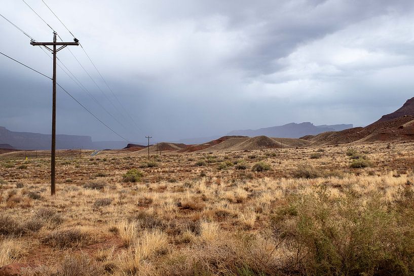 Wüstenlandschaft in der Nähe von Castle Valley, Utah von John Faber